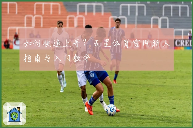 如何快速上手？五星体育官网新人指南与入门教学