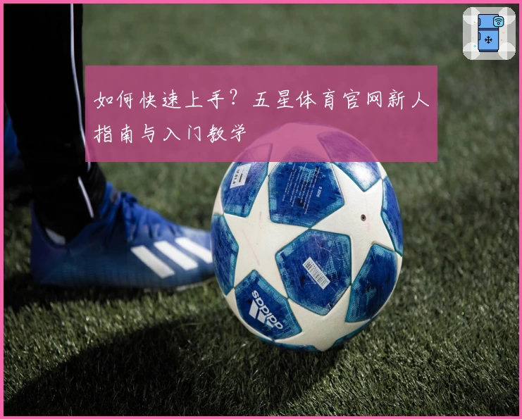 如何快速上手？五星体育官网新人指南与入门教学
