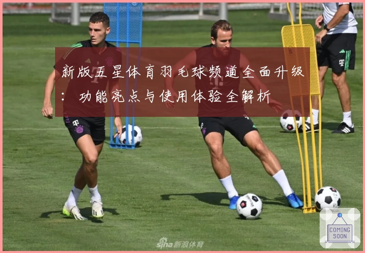 新版五星体育羽毛球频道全面升级：功能亮点与使用体验全解析