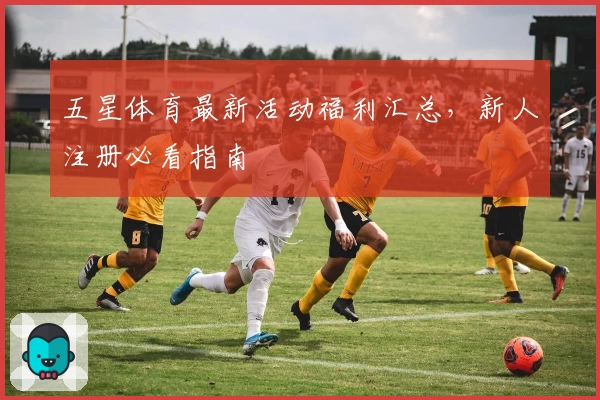 五星体育最新活动福利汇总，新人注册必看指南