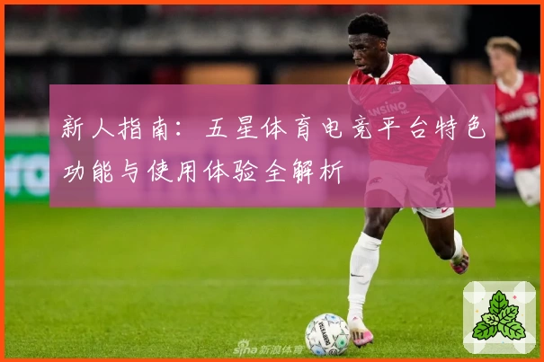 新人指南：五星体育电竞平台特色功能与使用体验全解析