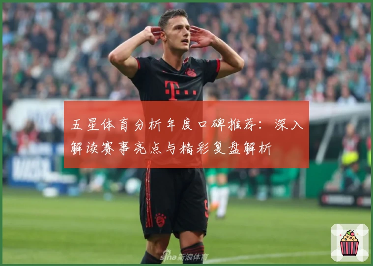 五星体育分析年度口碑推荐：深入解读赛事亮点与精彩复盘解析