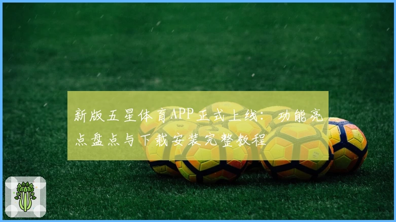 新版五星体育APP正式上线：功能亮点盘点与下载安装完整教程