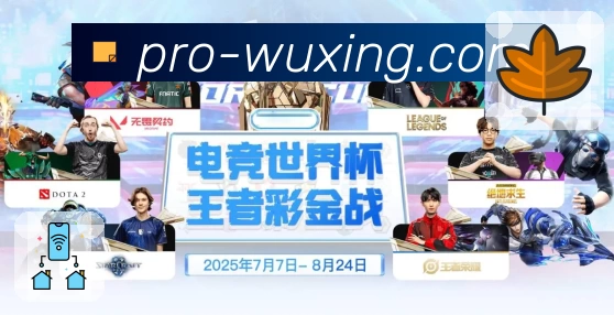 五星体育 App 展示图